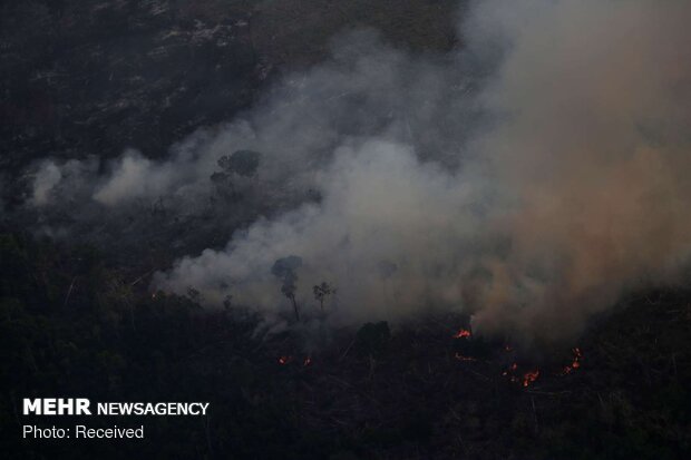 مهار آتش‌سوزی در جنگلهای استان نیازمند۲۰۰ دستگاه دمنده است