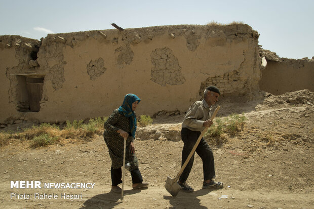 تنها در روستا