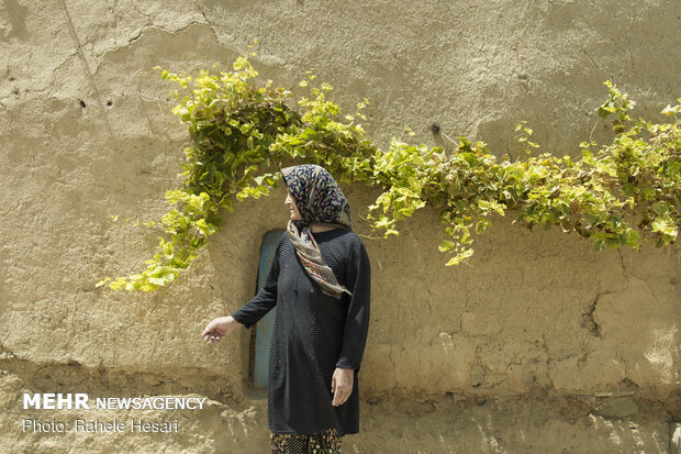 تنها در روستا