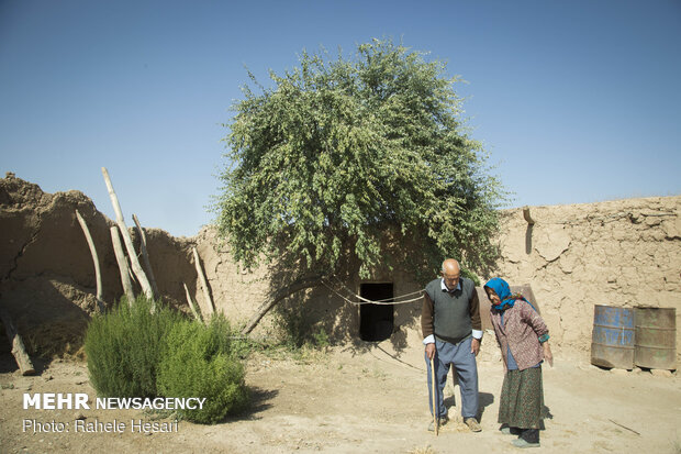 تنها در روستا