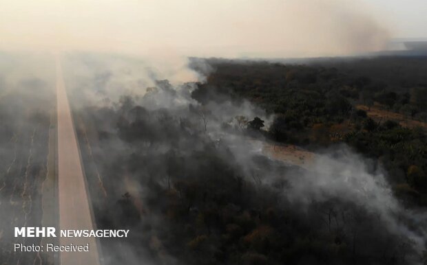 Brazil sends army to tackle blazes 