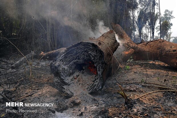 Amazon ormanlarındaki yangın devam ediyor