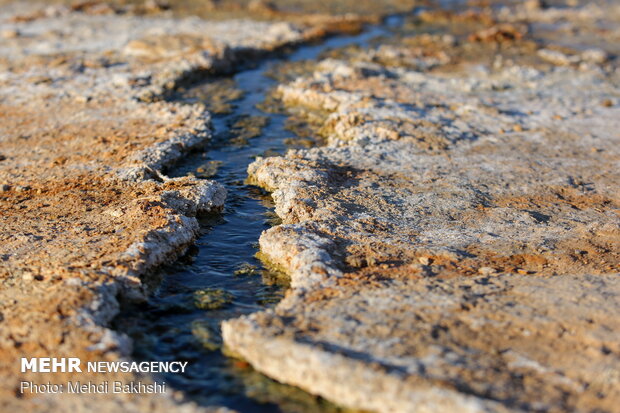 New springs emanating near Qom