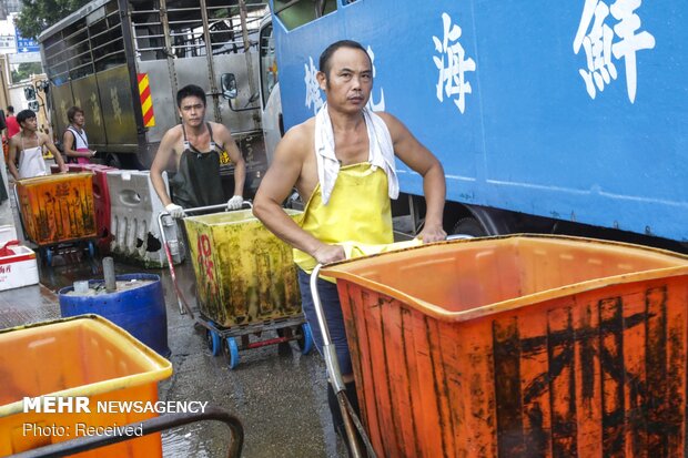 پایان فصل ممنوعیت صید در هنگ کنگ‎