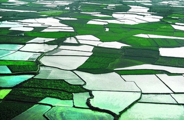 اجرای طرح کاداستر در ۱.۴ میلیون هکتار از اراضی کشاورزی