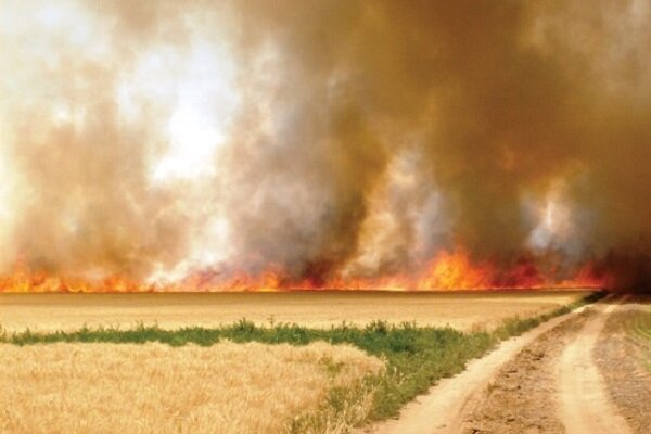 کشاورزان از آتش زدن بقایای محصولات کشاورزی جدا خودداری کنند
