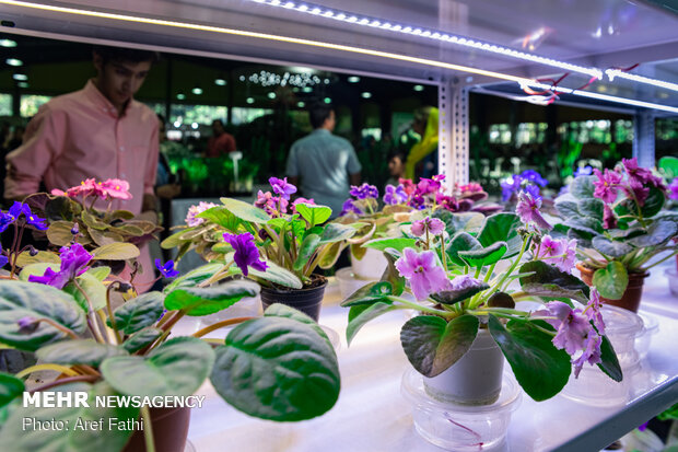 7th Flower and Plant Exhibition of Karaj
