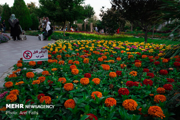 7th Flower and Plant Exhibition of Karaj
