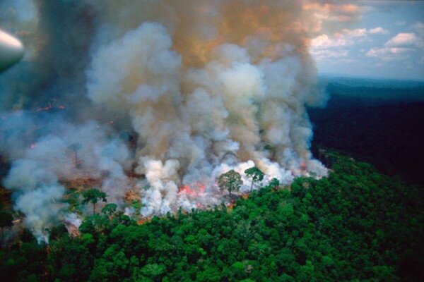 شهروندان و مسافران از روشن کردن آتش در جنگل ها خودداری کنند