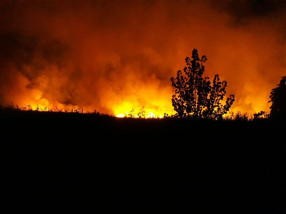 Human-started fire extinguished in Anzali wetland