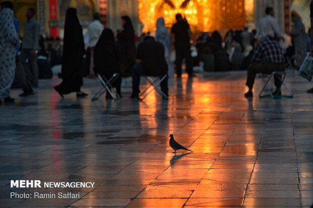 “SALAT” traditional ritual in holy shrine of Imam Reza (AS) 