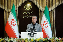 Iran, France’s viewpoints drawing closer: Rabiei