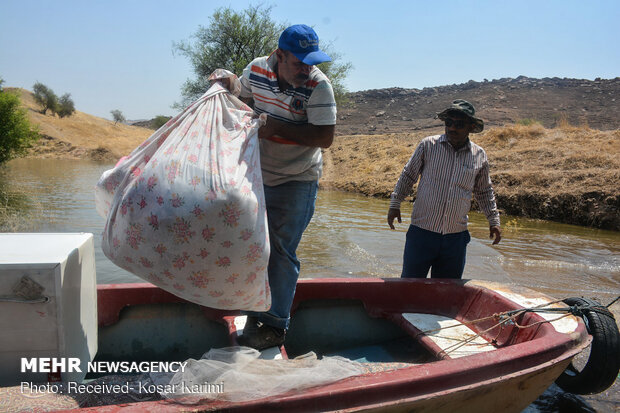 زیر آب رفتن چند روستای مسجد سلیمان