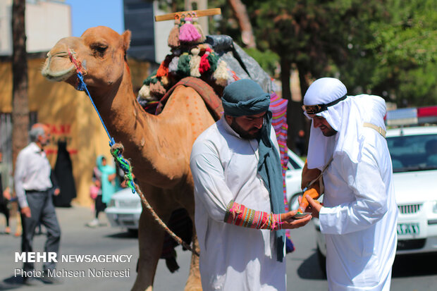 حرکت نمادین کاروان نینوا در بیرجند