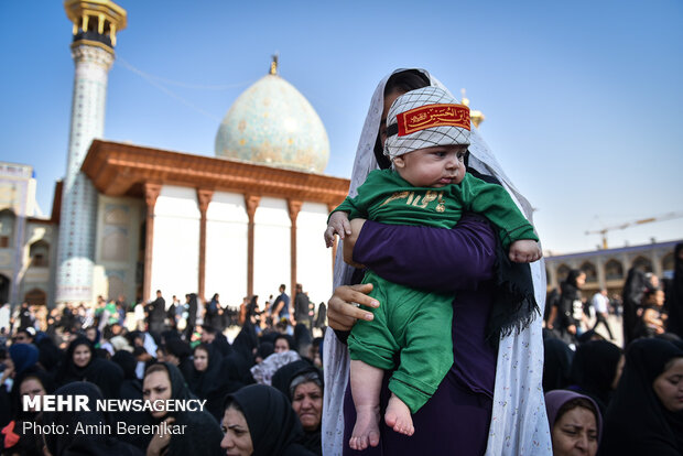 مراسم « شیرخوارگان حسینی» در شیراز