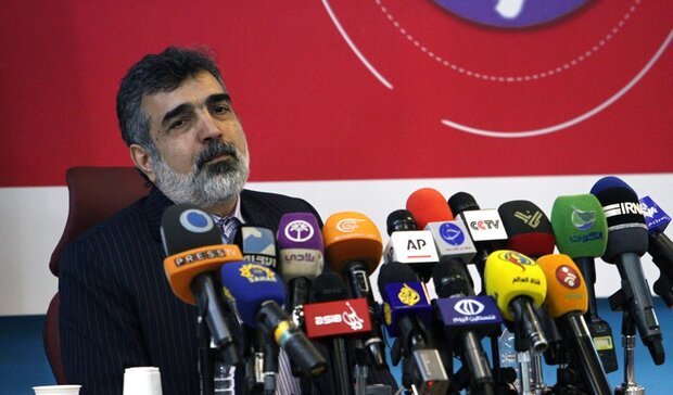 كمالوندي يعلّق على اخراج مفتشي الوكالة الدولية للطاقة الذرية من ايران
