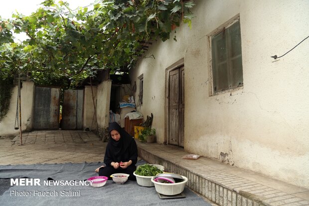 پخت نذری خانه به خانه در روستای درونکلای بابل