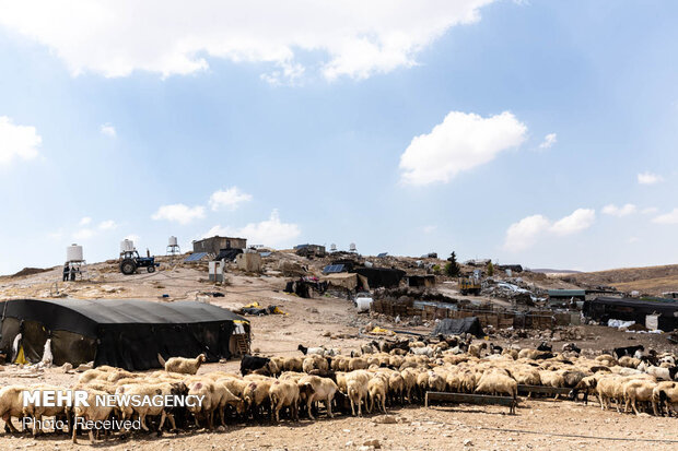 غصب زمین های فلسطینیان‎