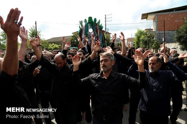 مراسم نخل گردانی روز عاشورا در معلم کلای محمودآباد