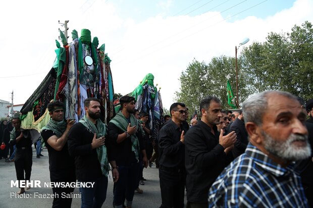 مراسم نخل گردانی روز عاشورا در معلم کلای محمودآباد