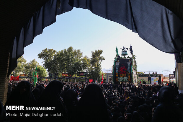 آیین نخل برداری روز عاشورای حسینی در مهریز