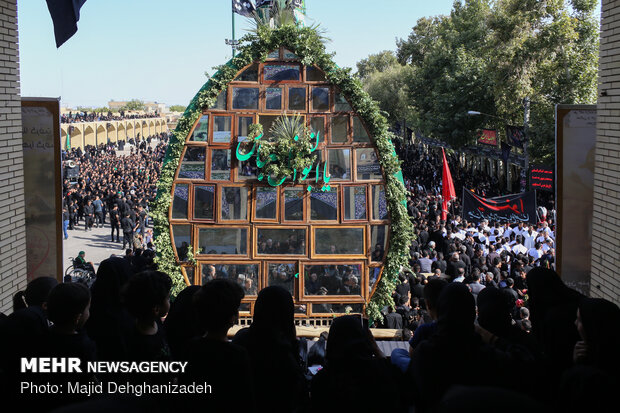 آیین نخل برداری روز عاشورای حسینی در مهریز