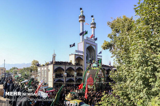 آیین نخل برداری روز عاشورای حسینی در مهریز