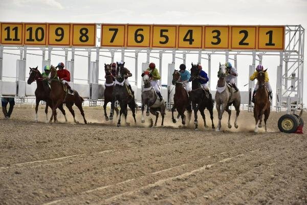 ۵۳ راس اسب در هفته دوم کورس پاییزه آق قلا رقابت می‌کنند