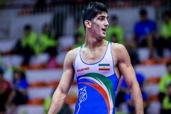 پویا ناصرپور
