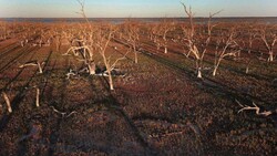 85% of Iran's population affected by prolonged drought: official