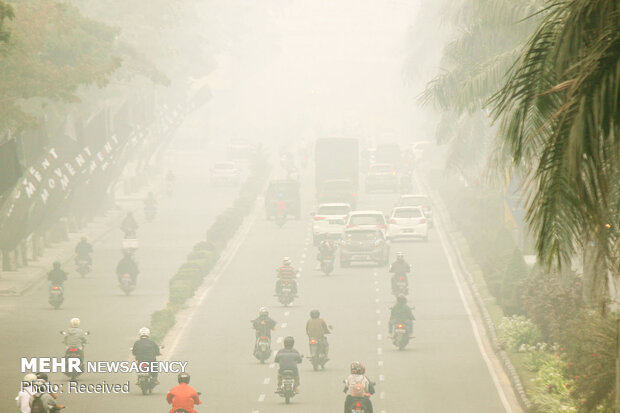 حرائق واسعة تلتهم مناطق واسعة في "أندونيسيا" 