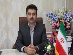 ۷۰ درصد فرمانداری‌های کردستان رشد شاخص عملکردی دارند