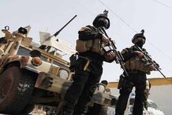 العراق بين ثورة الجياع وهجمة الضباع
