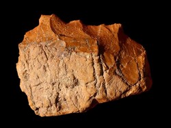 Traces of early humans found in southern Iran 