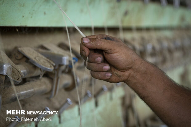 Wool yarn production process