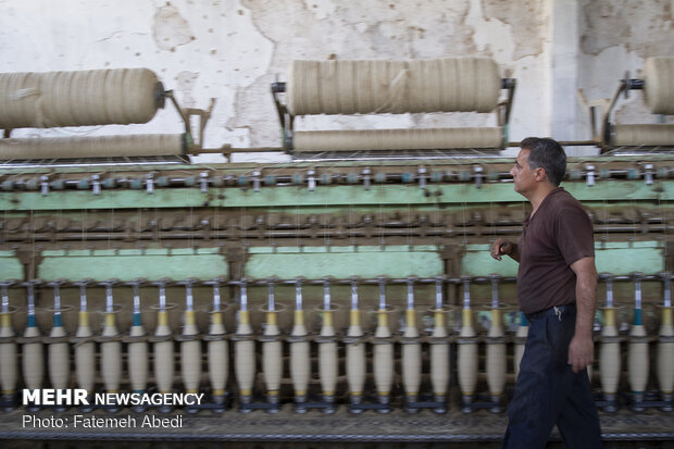 Wool yarn production process