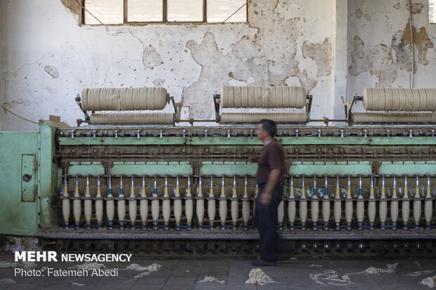 Wool yarn production process