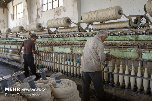 Wool yarn production process