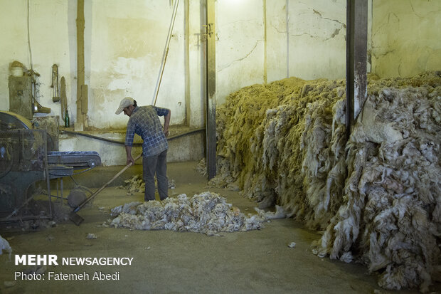 Wool yarn production process