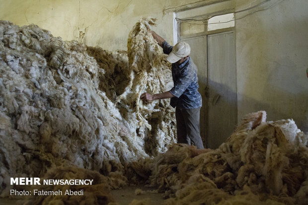 Wool yarn production process