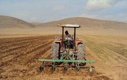 ۶۶۰ هزار هکتار از اراضی کشاورزی کردستان زیر کشت پاییزه می‌رود