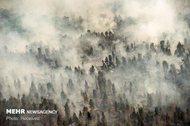 آلودگی ناشی از آتش سوزی در اندونزی