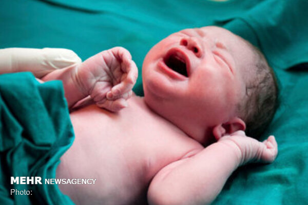 کاهش ۴.۶ درصدی ولادت در استان مرکزی/ بیش از ۸ هزار نوزاد متولد شد