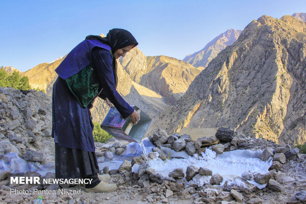 Making a living by harvesting salt by hand