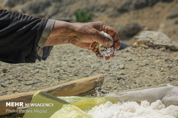 Making a living by harvesting salt by hand