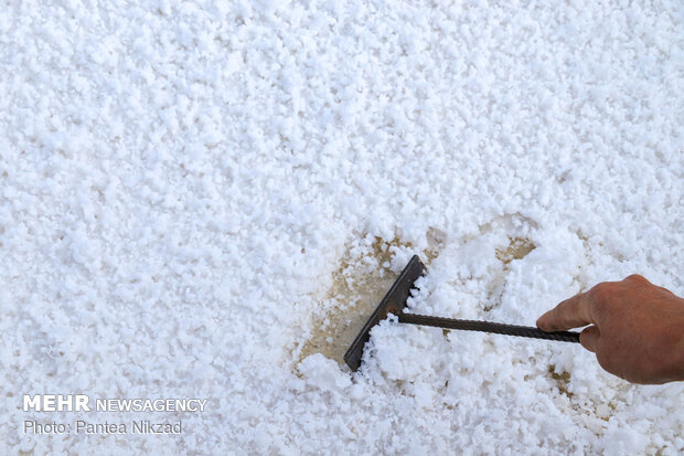 Making a living by harvesting salt by hand