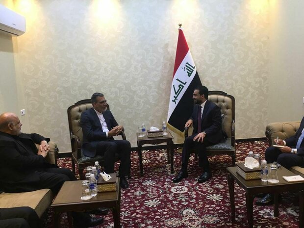 Iran’s deputy FM, Iraqi parl. speaker discuss Arbaeen cooperation