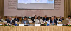 Tehran to host WHO Regional Committee for Eastern Mediterranean