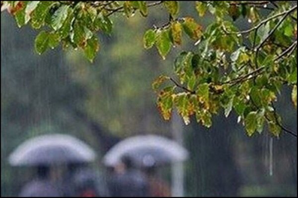 بارش ۲۳.۸ میلی متری در فارس/ خسارتی ایجاد نشده است