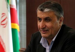 استان کردستان ظرفیت های لازم برای کمک به توسعه کشور را دارد